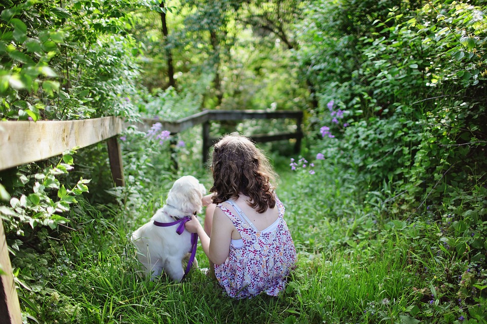 Tips for Choosing the Best Dog Daycare