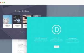 WordPress Themes